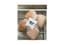 Chăn lông Muji 2,2×2,3m – Beige